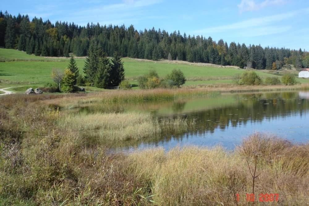 Le Tetras Villa Ламура Екстериор снимка