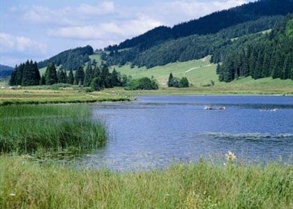 Le Tetras Villa Ламура Екстериор снимка